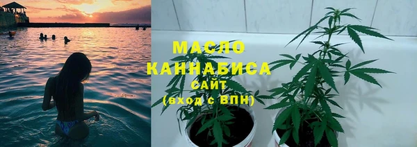 мет Бородино